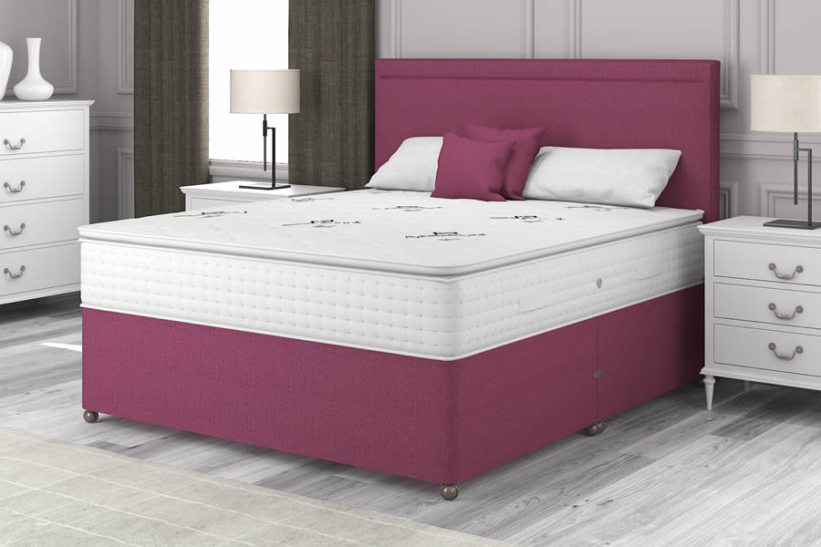View Linosa Pink Pillow Top 1000 Pocket Spring Contract Bed 60 Superking Pillow Top 1000 information