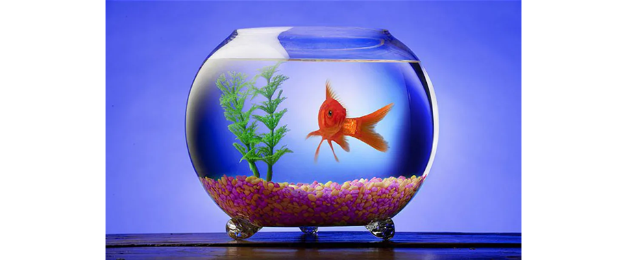 8 Outrageous, Bizarre and Awesome Hotel Amenities