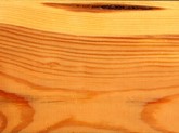 Pine