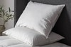 Simply Sleep 2 Pack Duck Feather Pillow