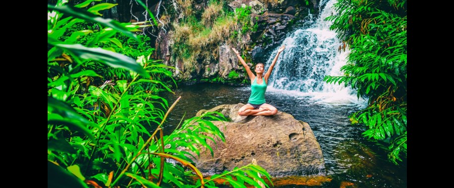 What is a Wellness Retreat? Escape & Rejuvenate